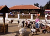 Zoo Vykov